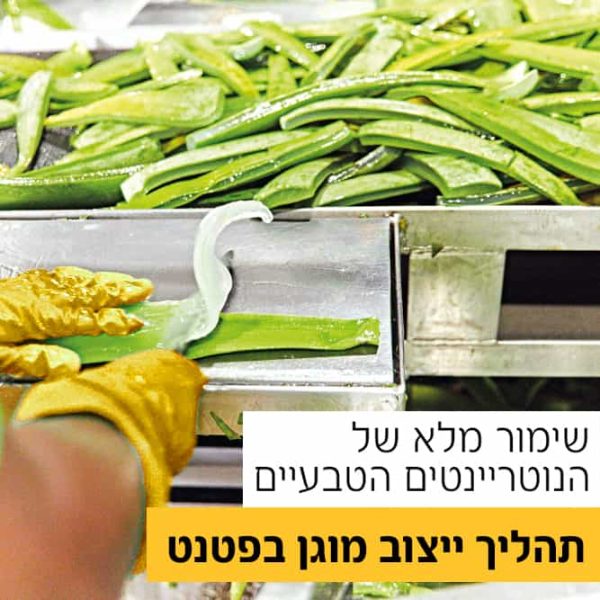 משקה אלוורה פרידום פוראבר אלוורה של פוראבר אלו פירסט בירושלים של פוראוור ללא אלומניום ואלכוהול מוצרים מאלוורה של פוראוור משווקת של מוצרי אלוורה של פוראבר בירושלים פוראבר מוצרי אלוורה טבעיים של פוראוור להשיג אצל משווקת אלופירסט משחת שיניים פוראבר בירושלים ו משווקת פוראבר מעלה אדומים אלופירסט להזמנה באתר אלופירסט בירושלים