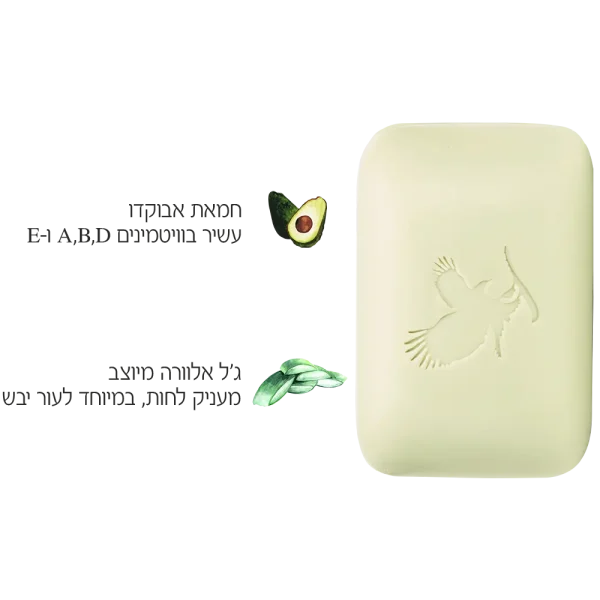 סבון אבוקדו לאקנה פוראבר מוצרי אלוורה טבעיים של פוראוור להשיג אצל משווקת אלופירסט משחת שיניים פוראבר בירושלים ו משווקת פוראבר מעלה אדומים